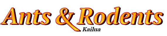 Kailua Ant Exterminator & Rodent Control Company Logo